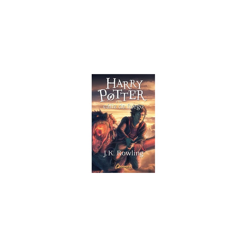HARRY POTTER 4 Y EL CALIZ DE FUEGO (MEDIA CARTA)